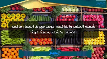 شعبة الخضر والفاكهة: موعد هبوط أسعار فاكهة الصيف يكشف رسميًا قريبًا
